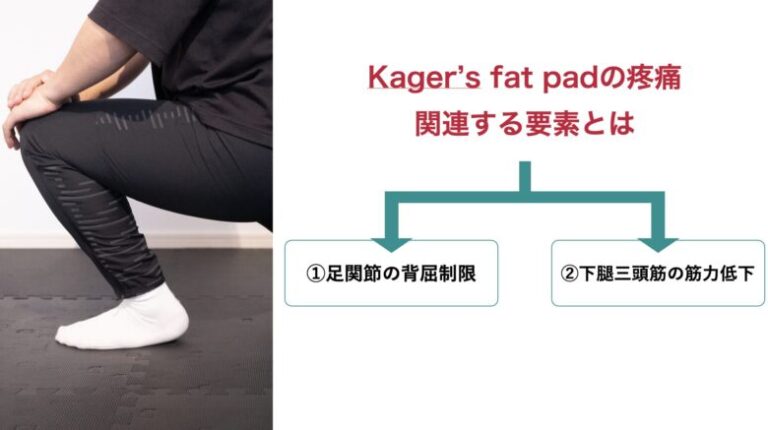 足部のkager’s fat padってなに？ | JPA足病学ブログ