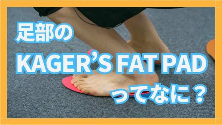 足部のkager’s fat padってなに？ | JPA足病学ブログ